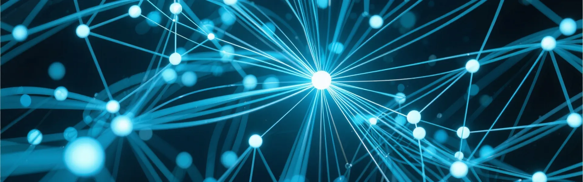 Data Network Background